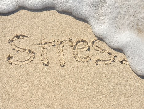 Image of stress writing on a beach.